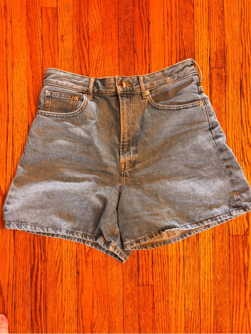 Everlane A-Line Light Blue Shorts